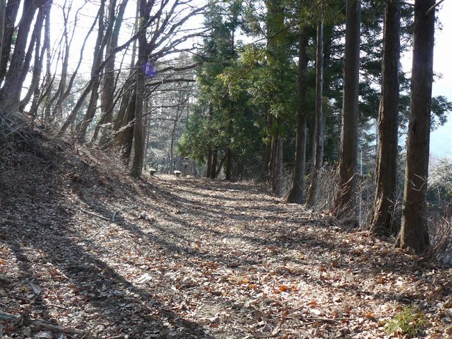 �O���X���F�i��h-���X����