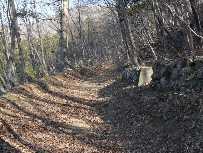 �O���X���F�i��h-���X����