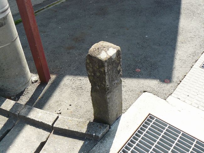 �O���X���F���V�c�h�|������