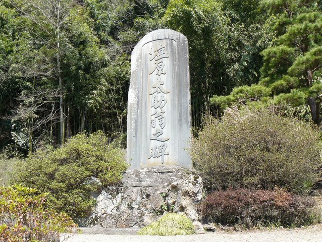 �O���X���F���V�c�h�|����������