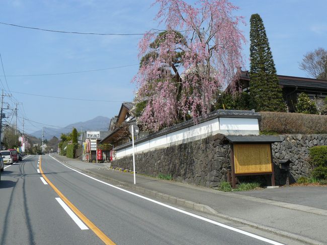 �O���X���F���x�h�|������