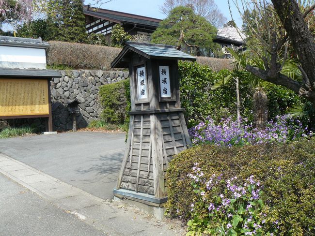 �O���X���F���x�h�|������