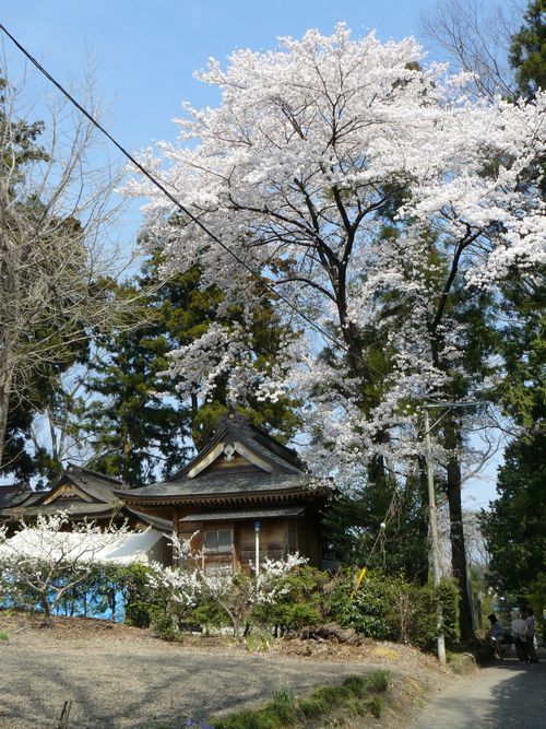 �O���X���F���x�h�|������