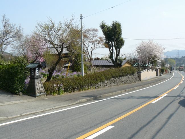 �O���X���F���x�h�|������