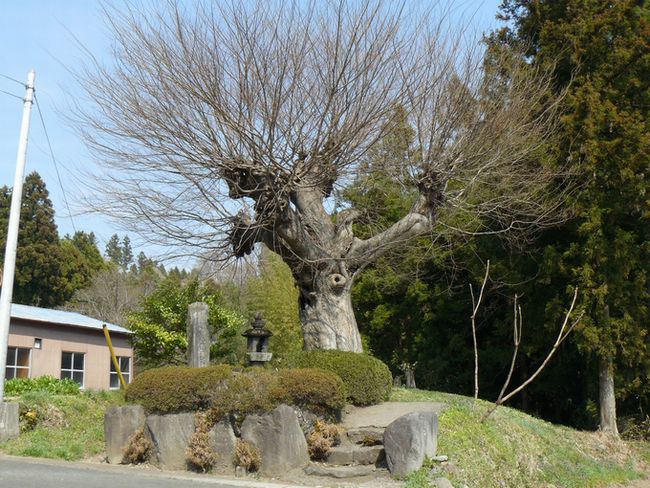 �O���X���F���x�h�|������