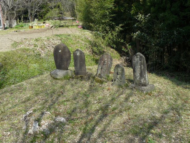 �O���X���F���x�h�|������