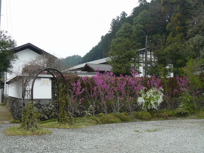 ���R���F�ܗ��|�����{�w�E����