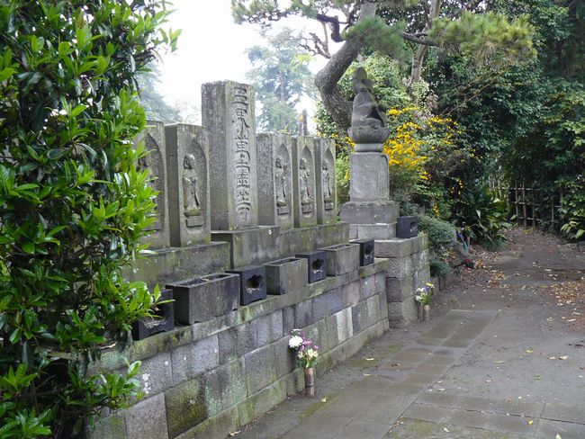 ���R���F�q���h�|�i��