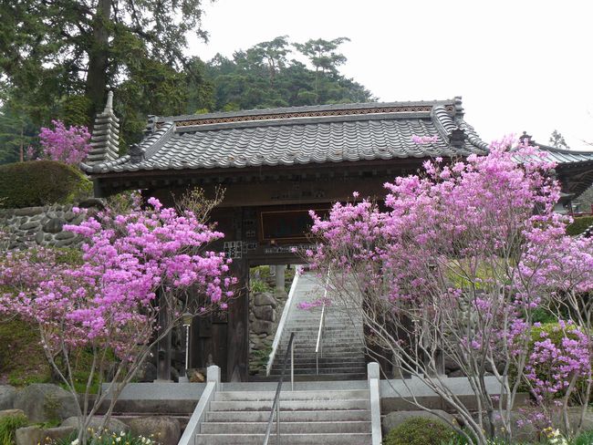 ���R���F����c�h�|������