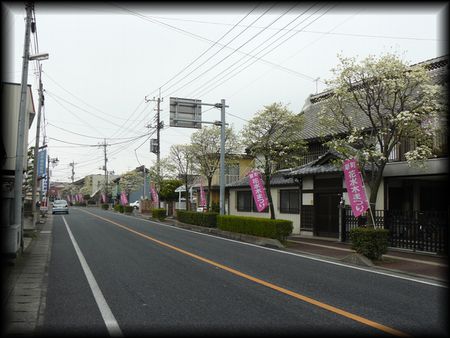 �V���h�F������