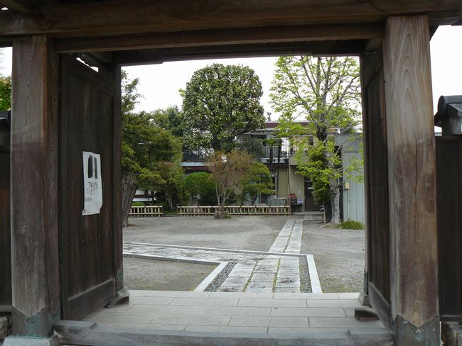 ���R���F�V���h�|���