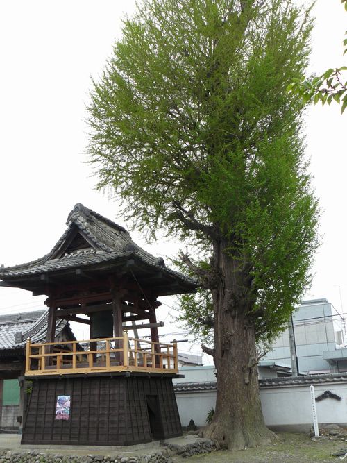 ���R���F�V���h�|���