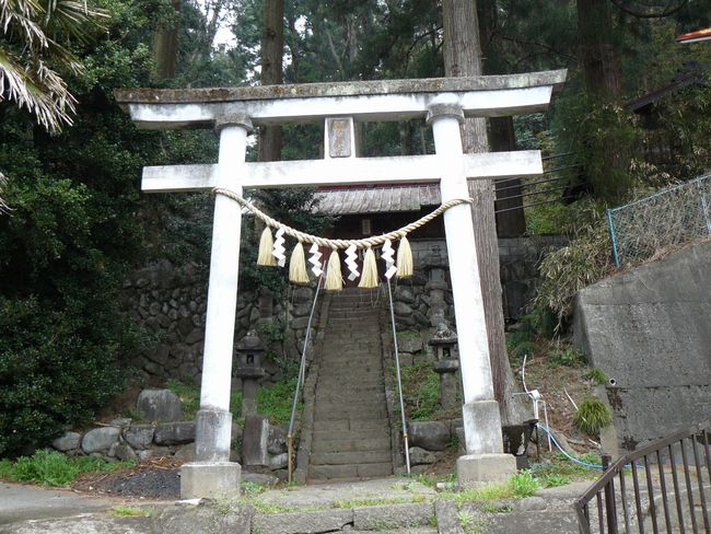 ���R���F�O�X����|����z�K�_��