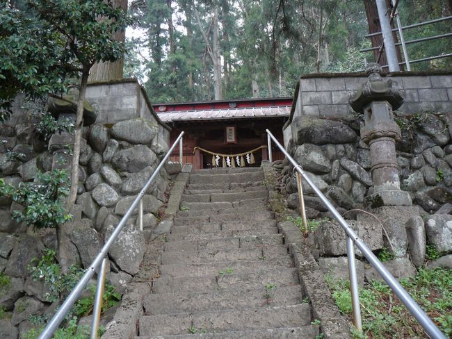 ���R���F�O�X����|����z�K�_��