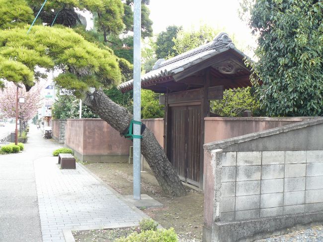 �����ᕼ�g�X���F�ďh-�ďh�{�w