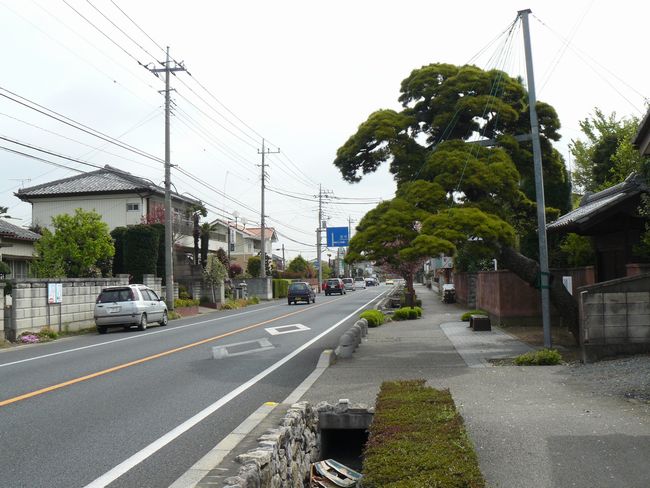 �����ᕼ�g�X���F�ďh-������