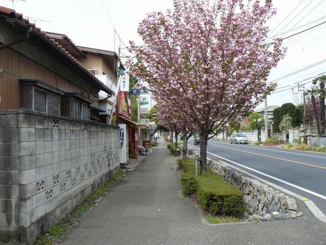 �����ᕼ�g�X���F�ďh-������