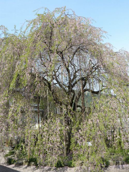 �Êy���F��ώ�