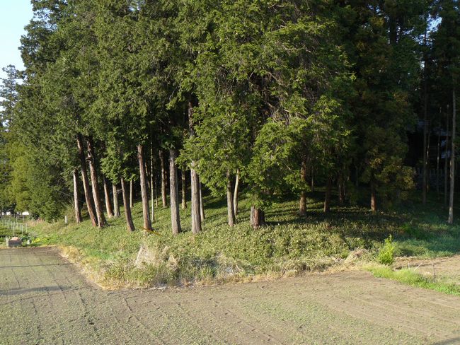 �Êy���F���X�Õ�