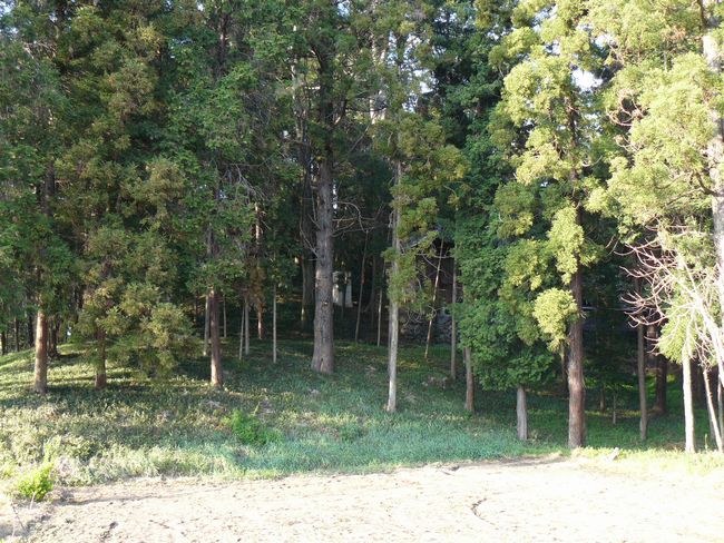 �Êy���F���X�Õ�