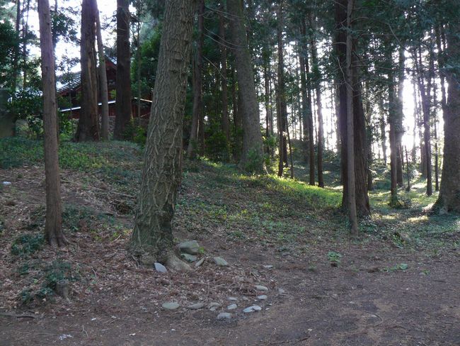 �Êy���F���X�Õ�