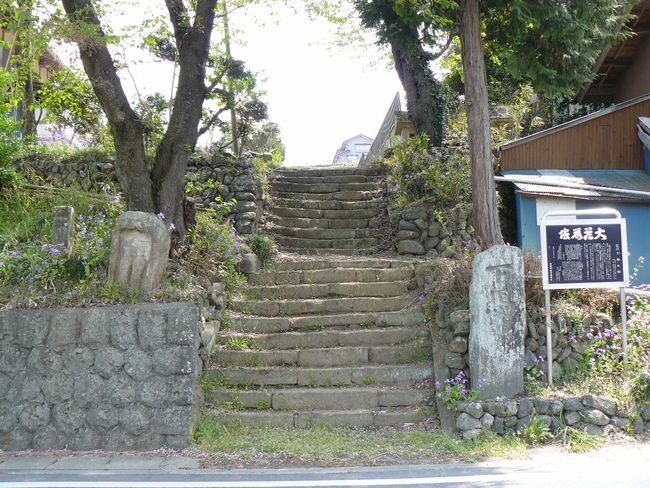 �Êy���F�������i�D�c������̕�j