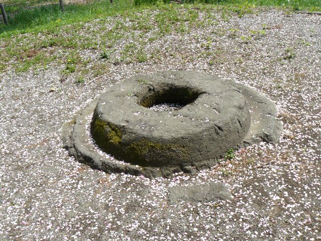 �ː��s�F����p������