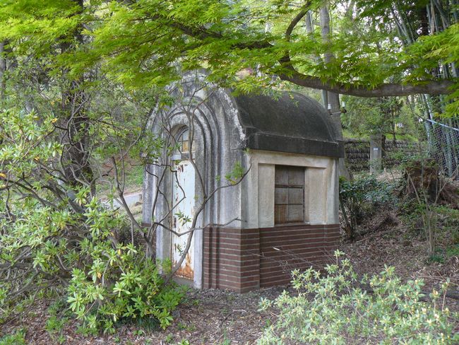 �ː��s�F���z���ꎖ����