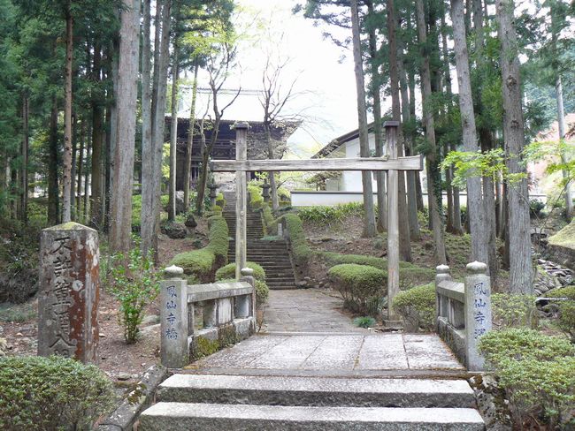 �ː��s�F�P�厛