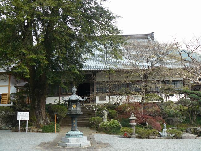 �ː��s�F�P�厛