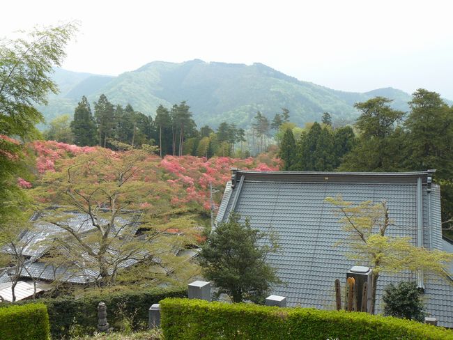 �ː��s�F�P�厛