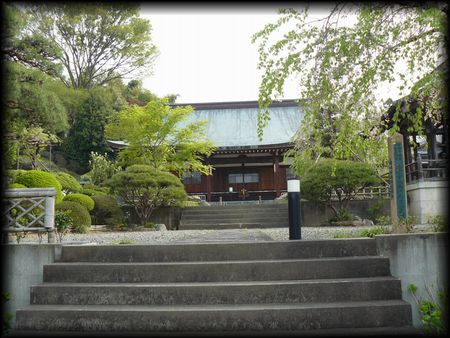 �������Q���̐Βi���猩�������̗l�q���B�e�����摜