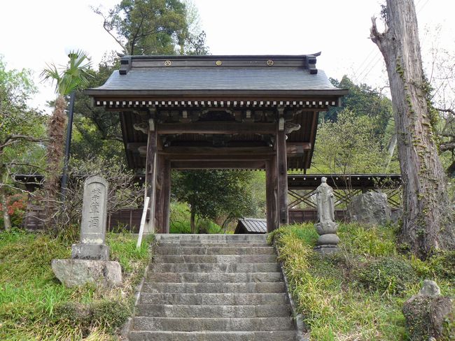 �ː��s�F����