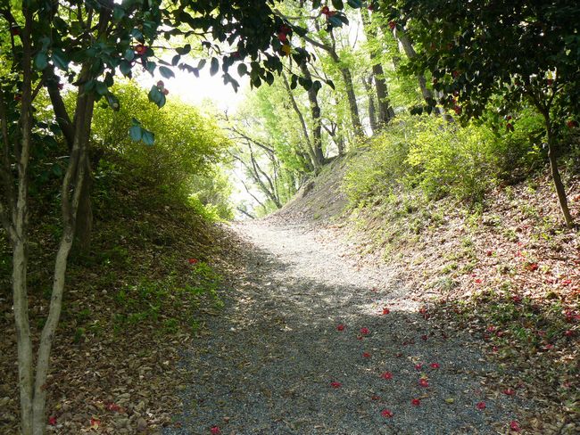 �ː��s�F�R���