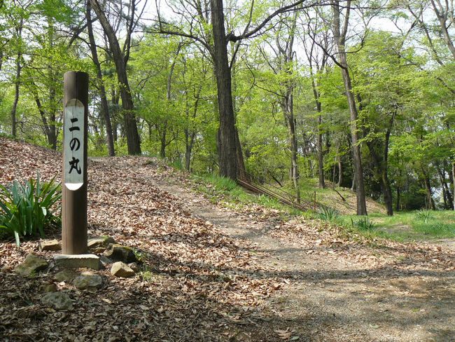 �ː��s�F�R���