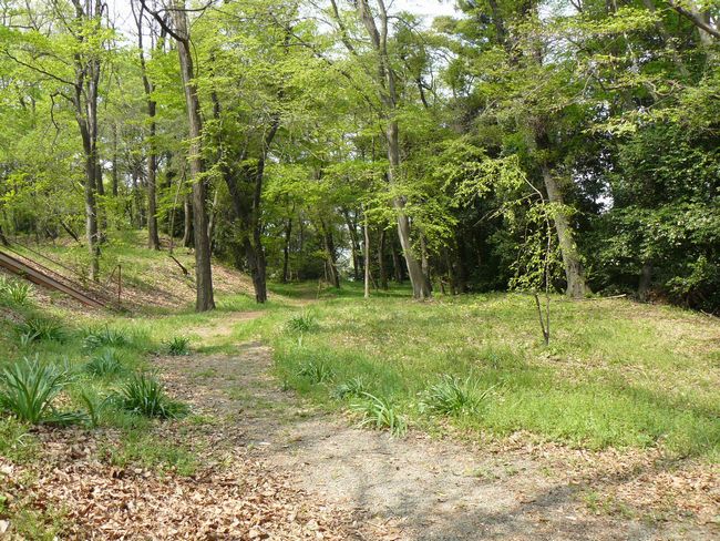 �ː��s�F�R���