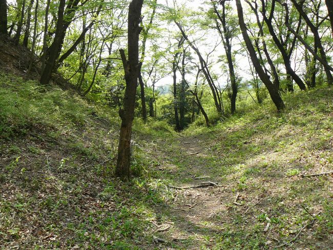 �ː��s�F�R���