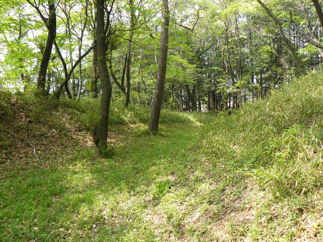 �ː��s�F�R���