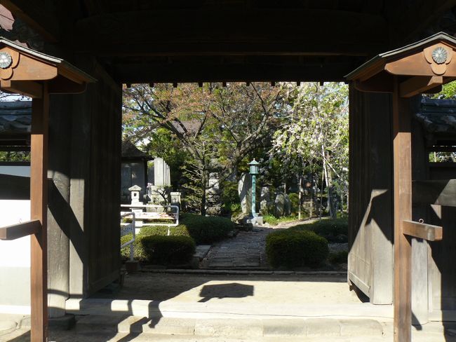 �O���s�F�哿��