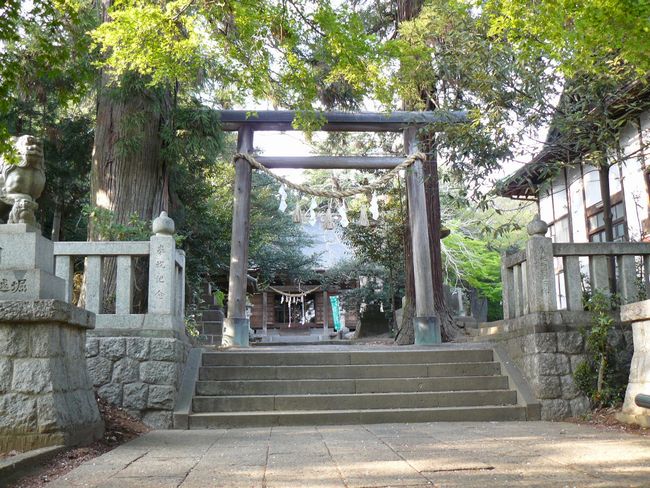 �O���s�F��Ӑ_��