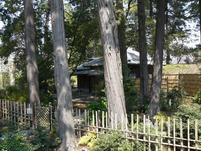 �O���s�F�Ս]�t�{��