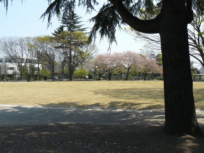 �O���s�F�O����