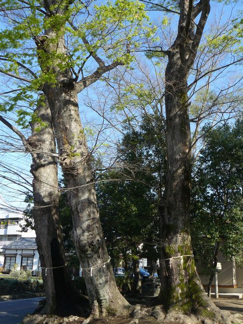 �O���s�F���А_��