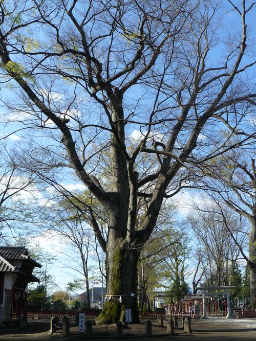 �O���s�F���А_��