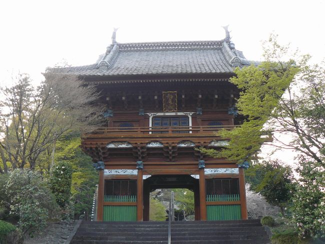 �Y�����F����