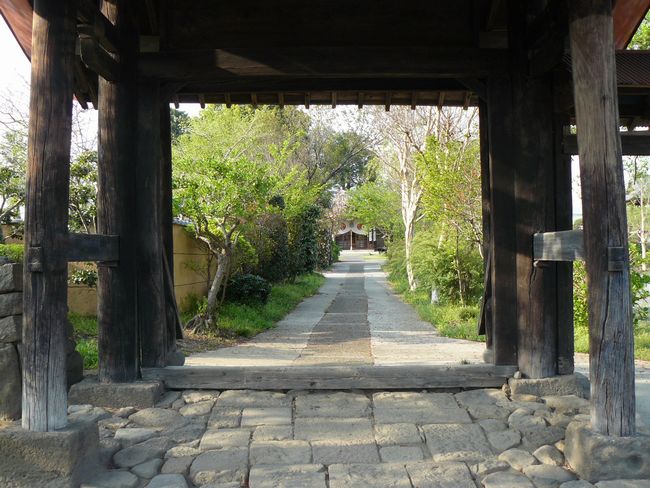 �O���s�F�{�ю�