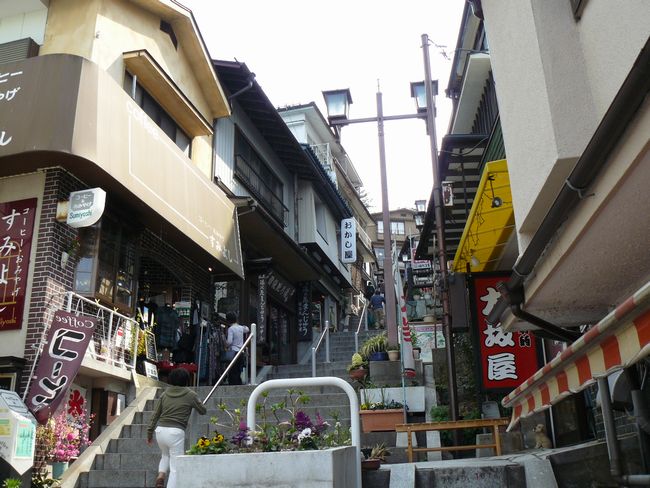 �ɍ��ۉ���F�Βi�X