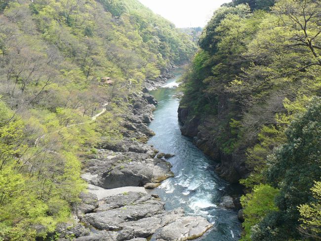 �݂ǂ�s�F���Ìˋ�