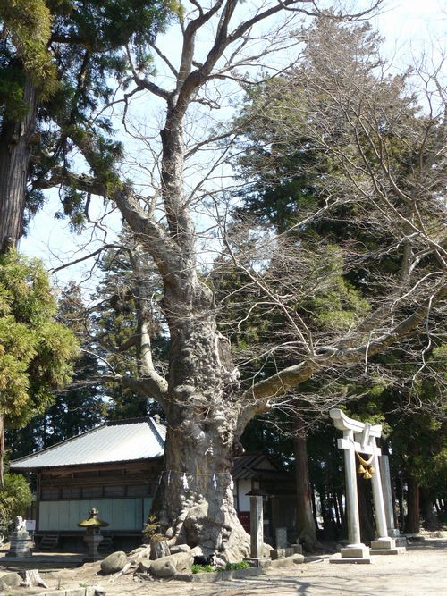 �݂Ȃ��ݒ��F���唪���_��