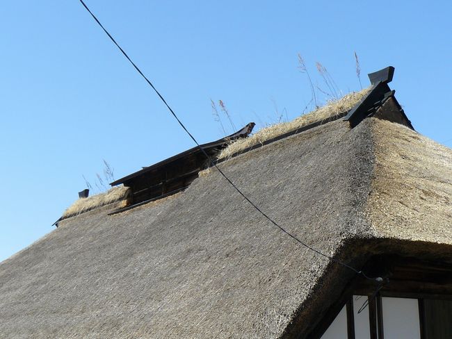 �݂Ȃ��ݒ��F�_�z�ƏZ��